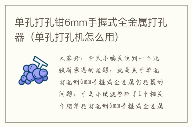 单孔打孔钳6mm手握式全金属打孔器（单孔打孔机怎么用）