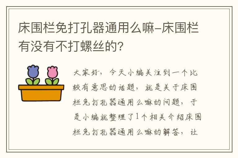 床围栏免打孔器通用么嘛-床围栏有没有不打螺丝的?