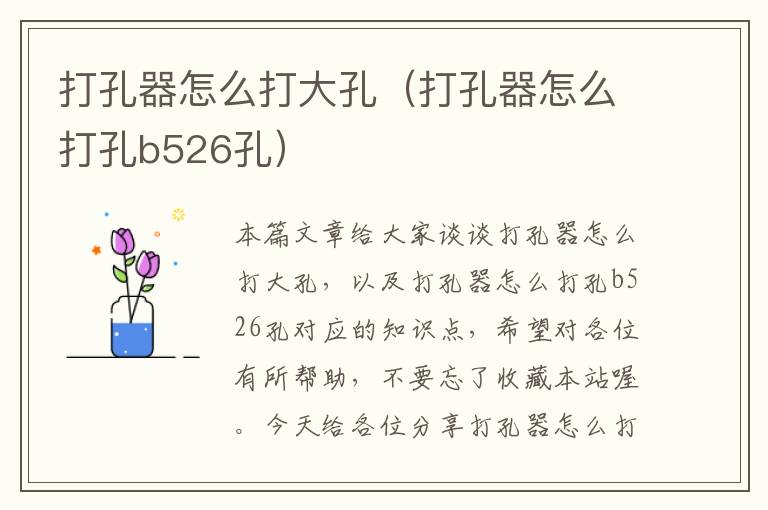 打孔器怎么打大孔（打孔器怎么打孔b526孔）