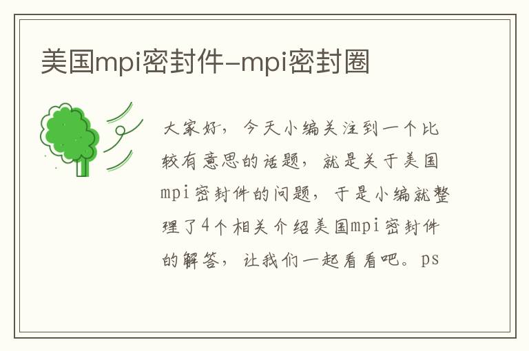 美国mpi密封件-mpi密封圈