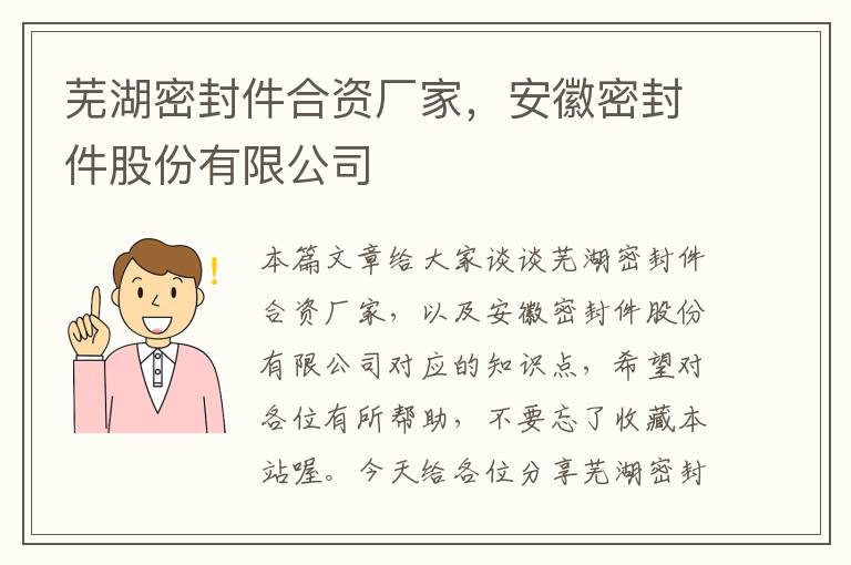 芜湖密封件合资厂家，安徽密封件股份有限公司