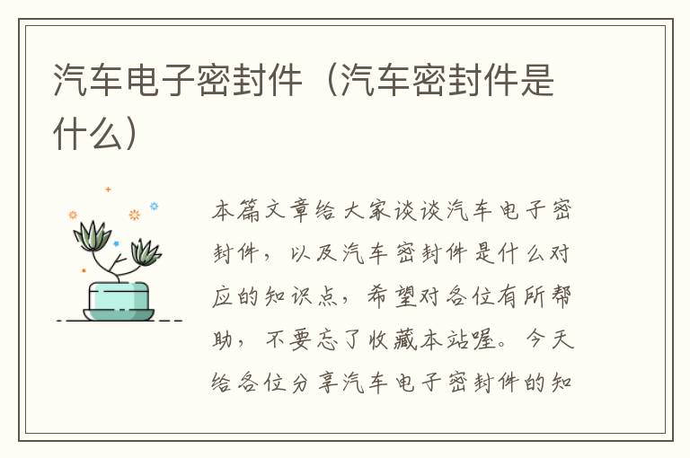 汽车电子密封件（汽车密封件是什么）