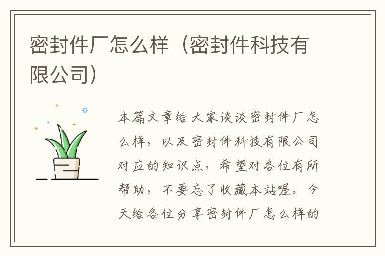 密封件厂怎么样（密封件科技有限公司）