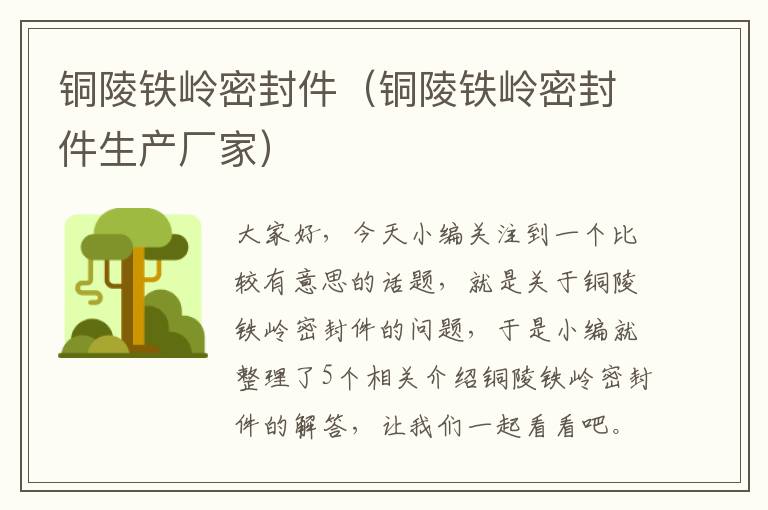 铜陵铁岭密封件（铜陵铁岭密封件生产厂家）