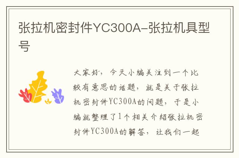 张拉机密封件YC300A-张拉机具型号