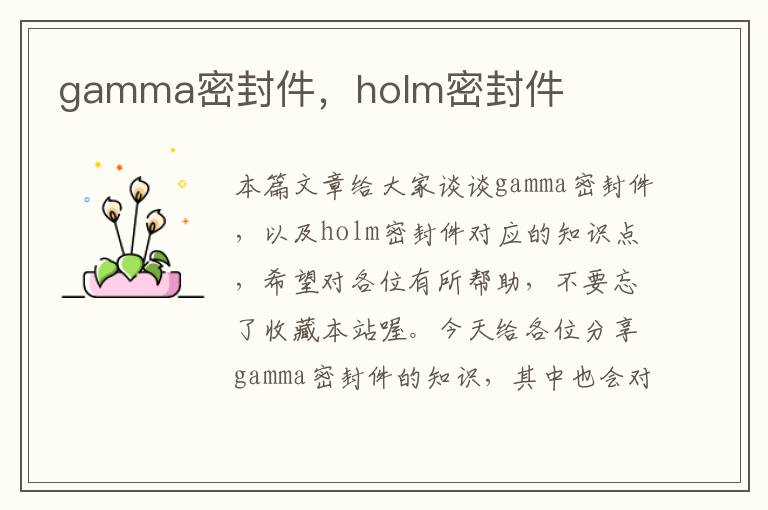 gamma密封件，holm密封件