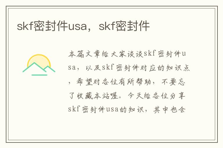 skf密封件usa，skf密封件