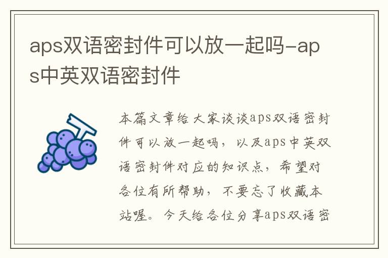 aps双语密封件可以放一起吗-aps中英双语密封件