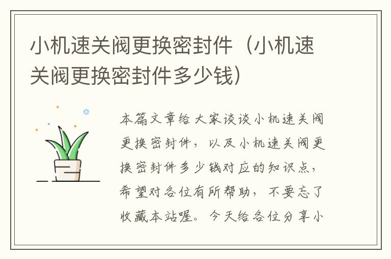 小机速关阀更换密封件（小机速关阀更换密封件多少钱）