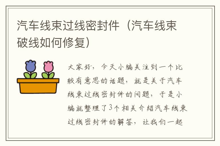 汽车线束过线密封件（汽车线束破线如何修复）