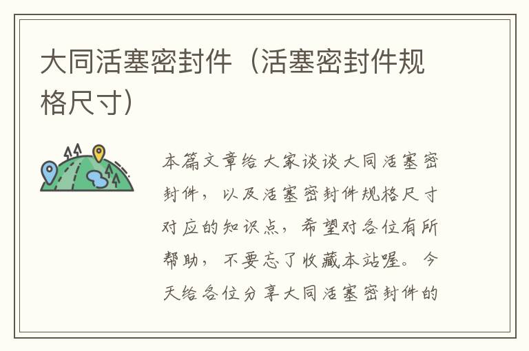 大同活塞密封件（活塞密封件规格尺寸）