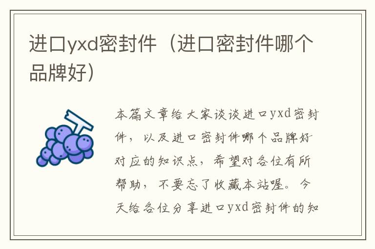 进口yxd密封件（进口密封件哪个品牌好）