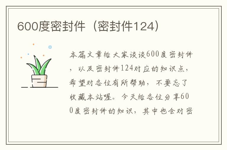 600度密封件（密封件124）