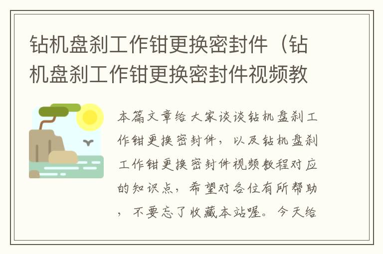 钻机盘刹工作钳更换密封件（钻机盘刹工作钳更换密封件视频教程）