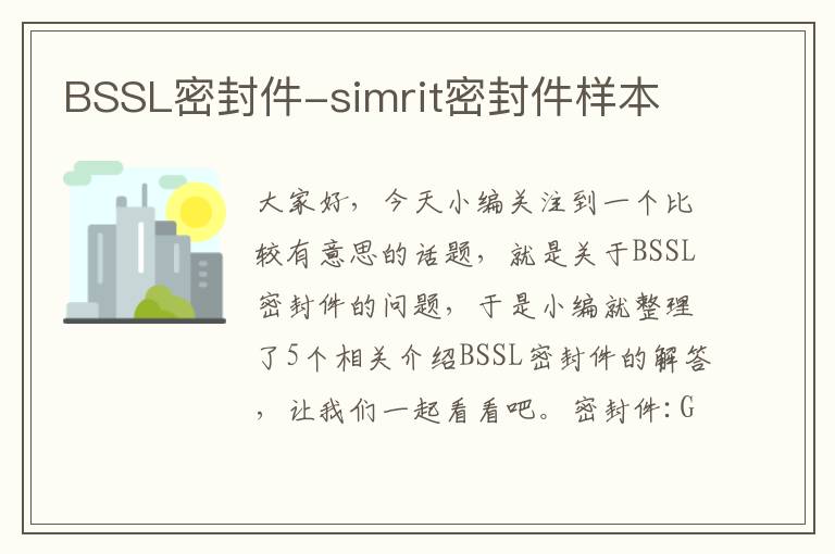 BSSL密封件-simrit密封件样本