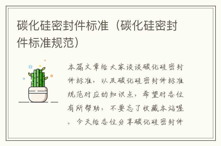 碳化硅密封件标准（碳化硅密封件标准规范）