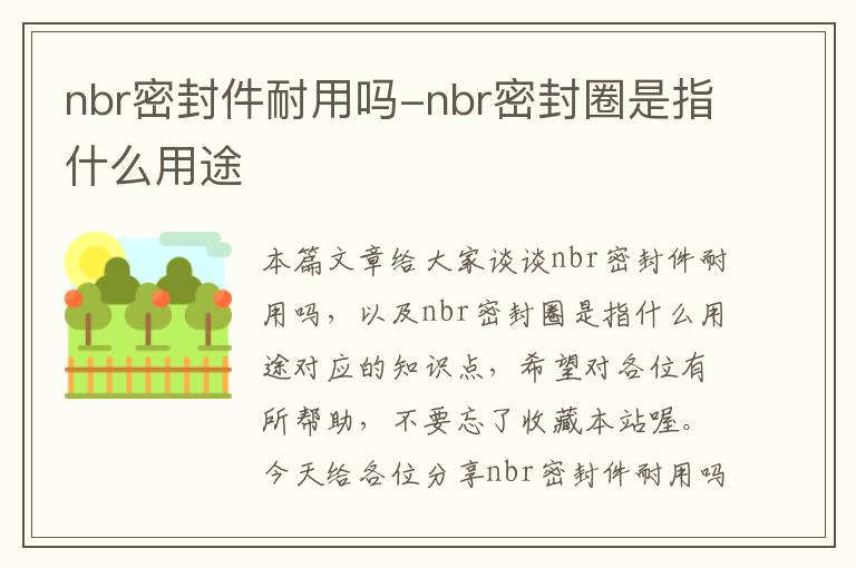 nbr密封件耐用吗-nbr密封圈是指什么用途