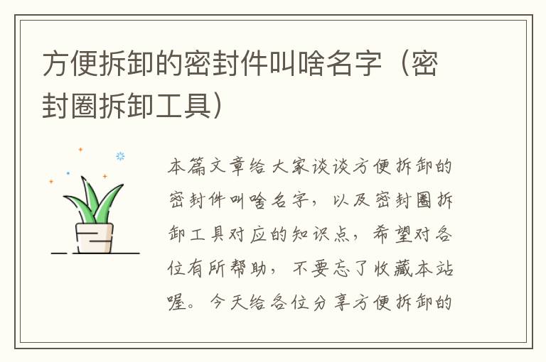 方便拆卸的密封件叫啥名字（密封圈拆卸工具）