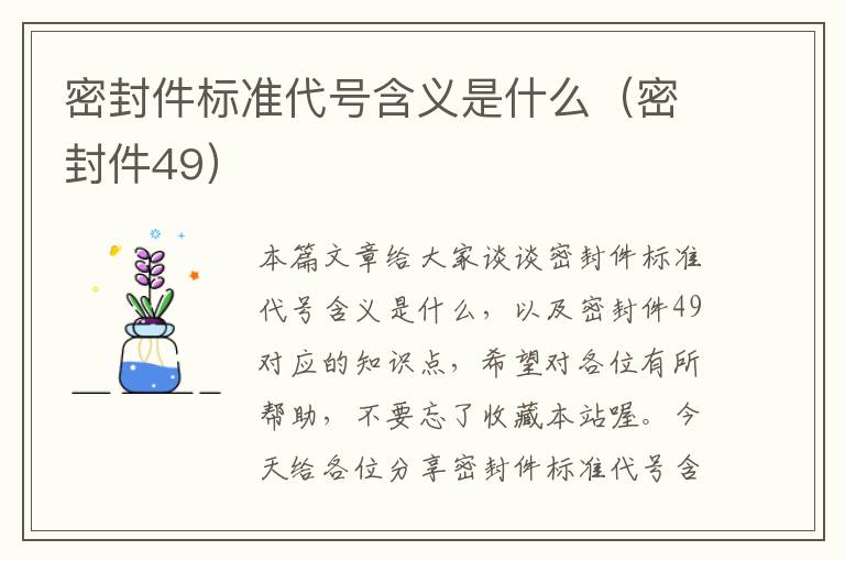 密封件标准代号含义是什么（密封件49）