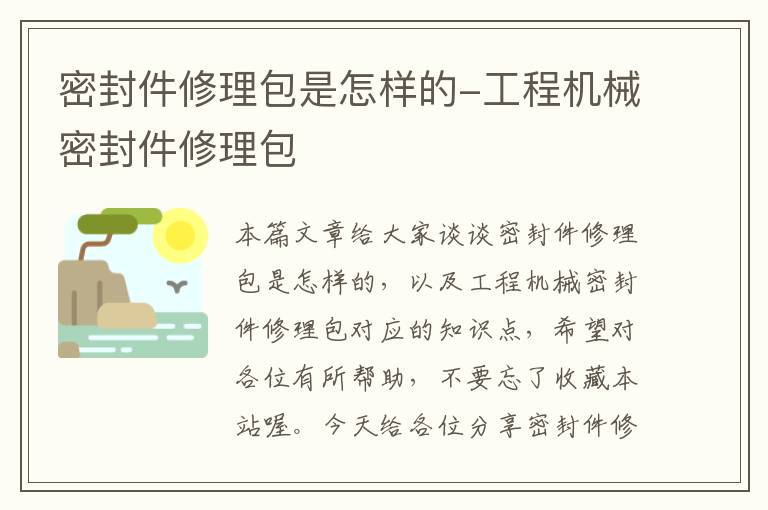 密封件修理包是怎样的-工程机械密封件修理包