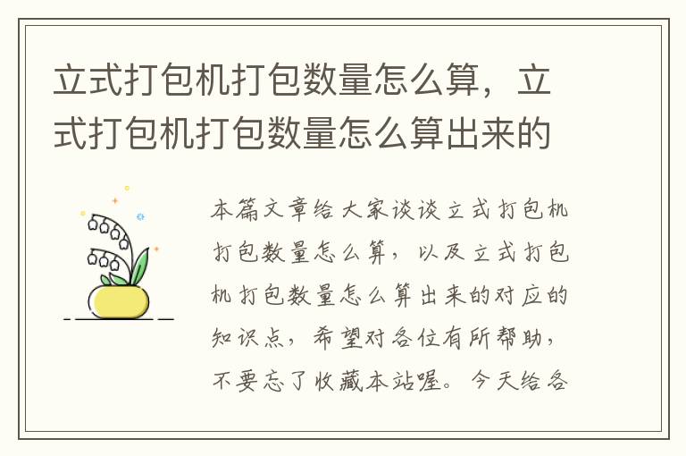 立式打包机打包数量怎么算，立式打包机打包数量怎么算出来的