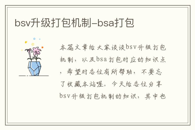 bsv升级打包机制-bsa打包