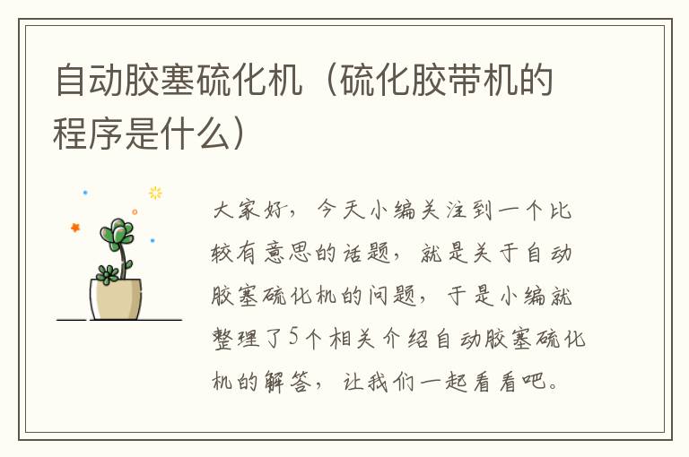 自动胶塞硫化机（硫化胶带机的程序是什么）