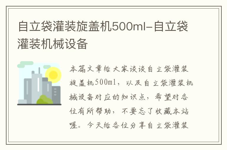 自立袋灌装旋盖机500ml-自立袋灌装机械设备