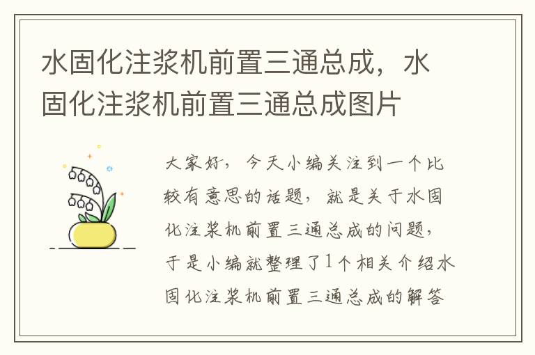 水固化注浆机前置三通总成，水固化注浆机前置三通总成图片