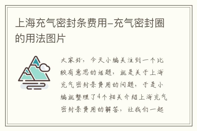 上海充气密封条费用-充气密封圈的用法图片