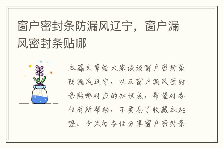 窗户密封条防漏风辽宁，窗户漏风密封条贴哪