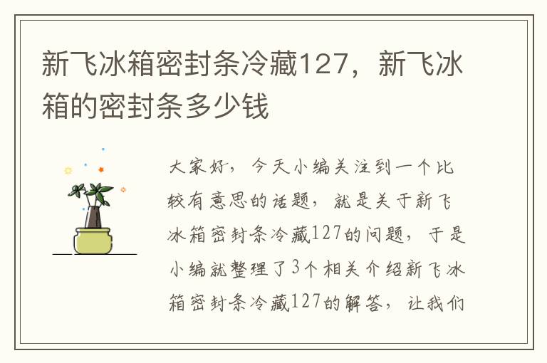 新飞冰箱密封条冷藏127，新飞冰箱的密封条多少钱