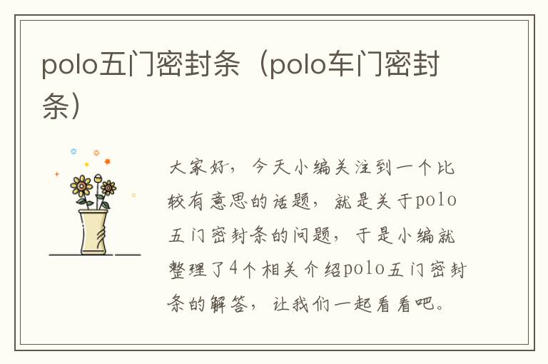 polo五门密封条（polo车门密封条）