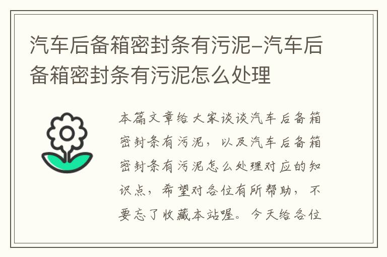 汽车后备箱密封条有污泥-汽车后备箱密封条有污泥怎么处理