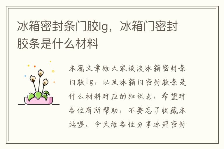 冰箱密封条门胶lg，冰箱门密封胶条是什么材料