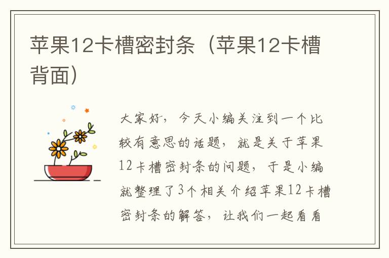 苹果12卡槽密封条（苹果12卡槽背面）