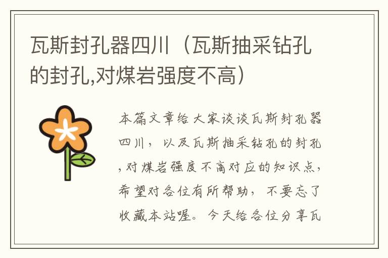 瓦斯封孔器四川（瓦斯抽采钻孔的封孔,对煤岩强度不高）