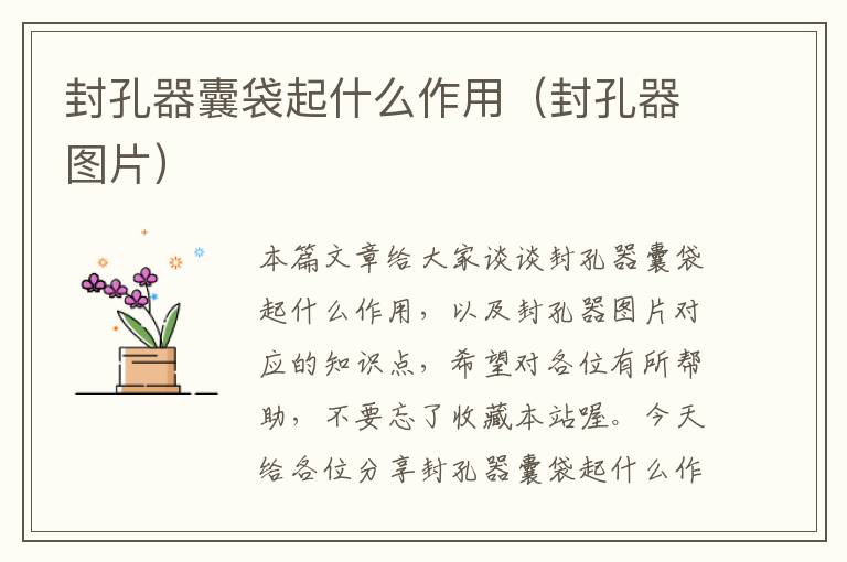 封孔器囊袋起什么作用（封孔器图片）