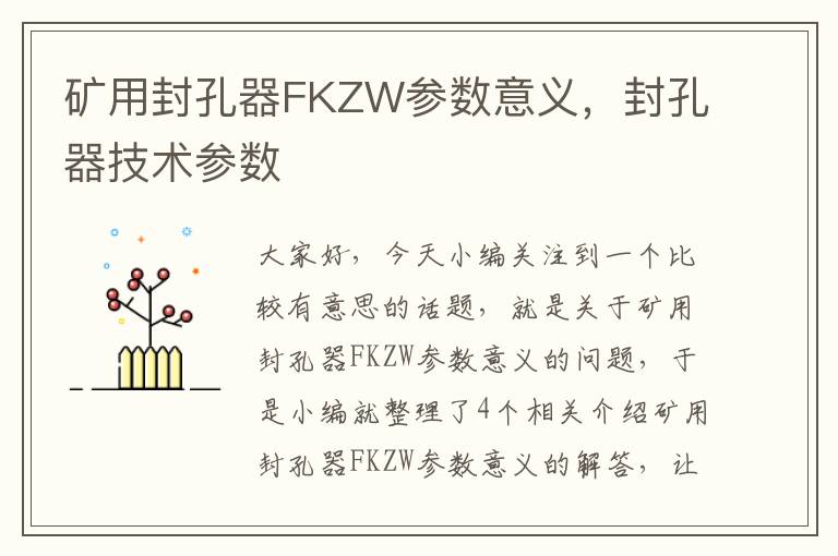 矿用封孔器FKZW参数意义，封孔器技术参数