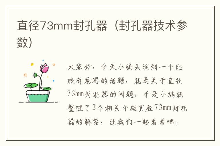 直径73mm封孔器（封孔器技术参数）