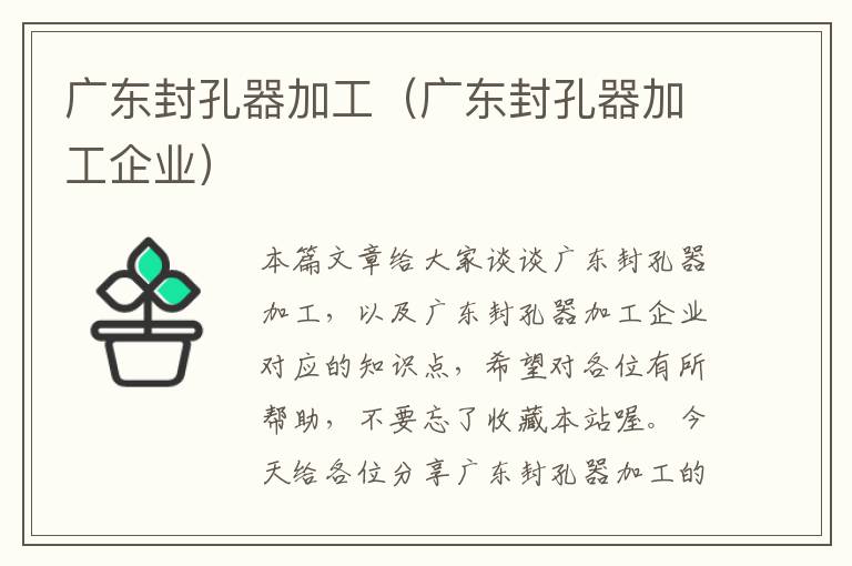 广东封孔器加工（广东封孔器加工企业）