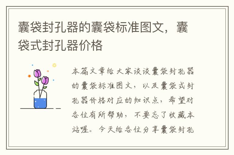 囊袋封孔器的囊袋标准图文，囊袋式封孔器价格