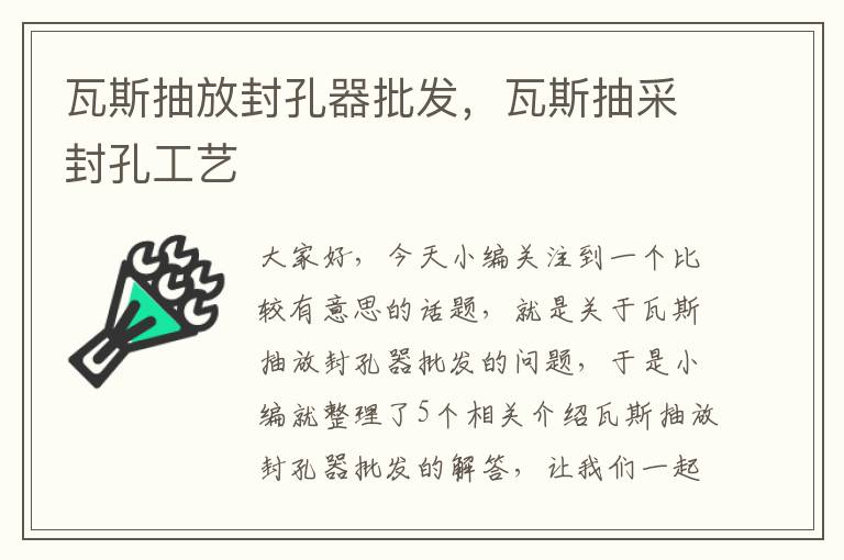 瓦斯抽放封孔器批发，瓦斯抽采封孔工艺