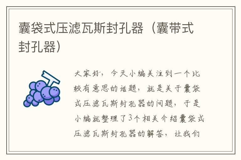 囊袋式压滤瓦斯封孔器（囊带式封孔器）