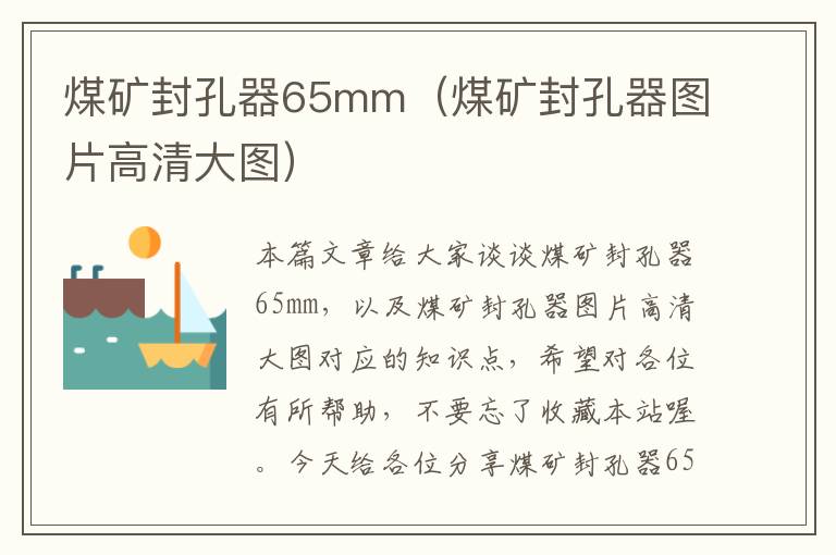 煤矿封孔器65mm（煤矿封孔器图片高清大图）