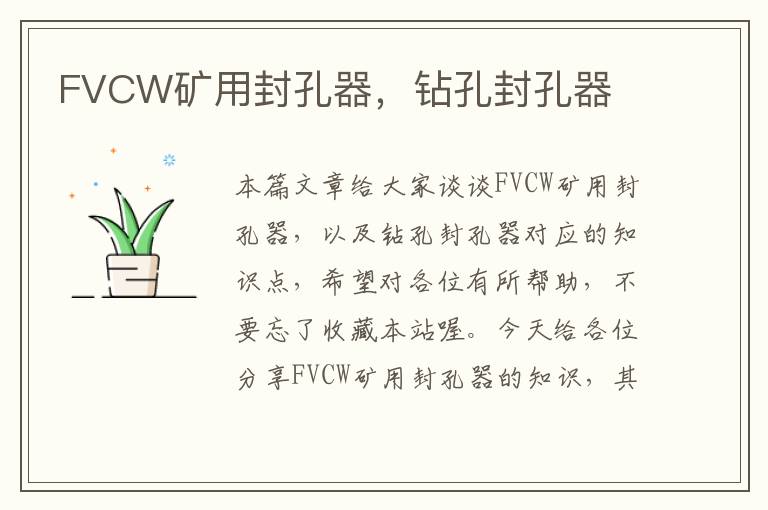 FVCW矿用封孔器，钻孔封孔器