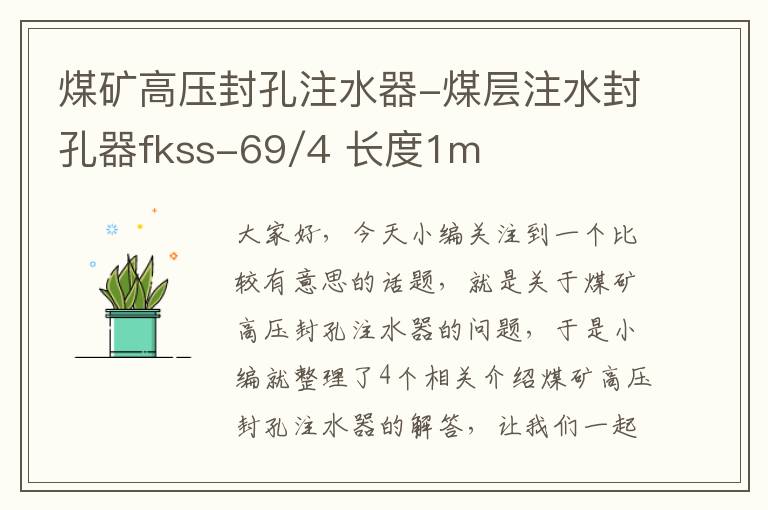 煤矿高压封孔注水器-煤层注水封孔器fkss-69/4 长度1m