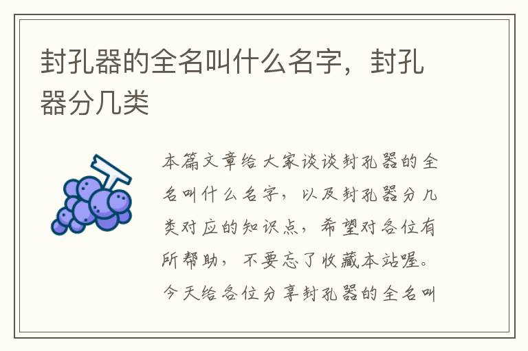 封孔器的全名叫什么名字，封孔器分几类