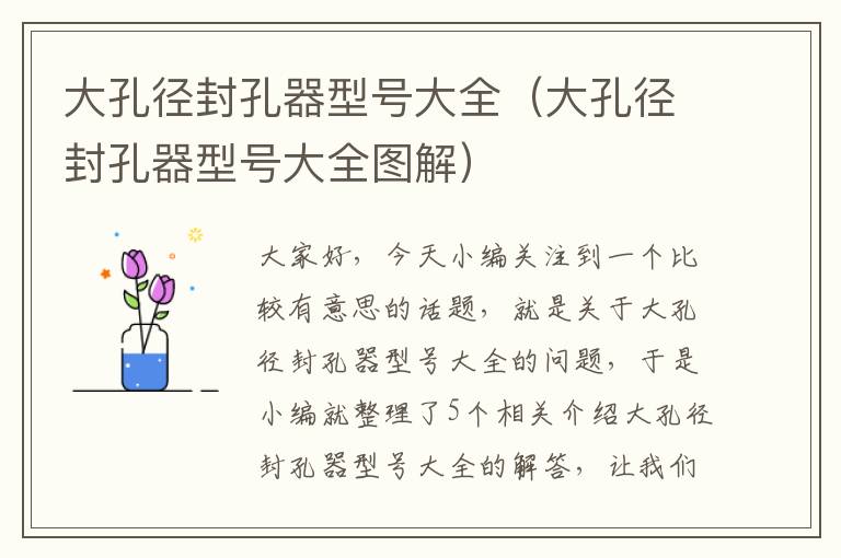 大孔径封孔器型号大全（大孔径封孔器型号大全图解）